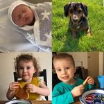 Ann Hardman - @ann.hardman.1293 - Instagram