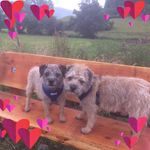 Ann Hardman - @hardman4697 - Instagram