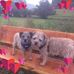 Ann Hardman - Facebook