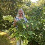 Ann Hardman - @ann.hardman.180 - Instagram