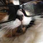 Ann Harman - @cathyreid2011 - Instagram