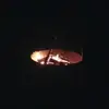 annharmann1 - @annharmann1 - TikTok