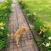 Ann Harper - Facebook