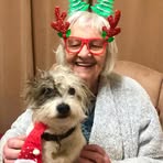 Ann Harrington - Facebook