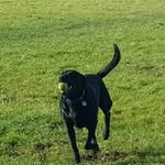 Ann Harrington - @annharrington1962 - Instagram