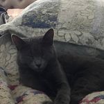 Ann Kertscher Harrington - @ann.harrington - Instagram