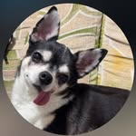 Ann Hau - @annhau02111 - Instagram