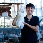 Trại Thỏ Chính Vân - @annhau.t - Instagram