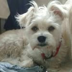 Ann Hawley - @midabu91 - Instagram