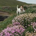 Ann Healy - @healy9674 - Instagram