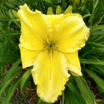 Ann Beasley Hemingway - @ann.hemingway.56 - Instagram