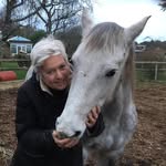 Ann Hemingway - @hemingway973 - Instagram