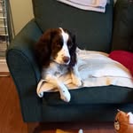 Ann Hemingway - @ann.gray48 - Instagram