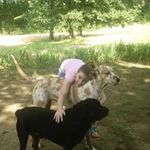 Ann Henley - @aeejgh - Instagram