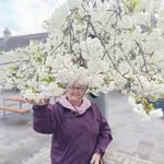 Ann Henry - @annhenry480 - Instagram