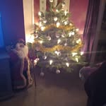 Ann Henson - @ann.henson.520 - Instagram