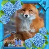 Ann Henson - @annhenson2 - TikTok