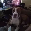 user4134854984744 - @workshiannhenson - TikTok