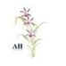 Ann Herring - Facebook
