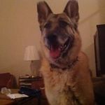 Ann Herring - @aehlaw61 - Instagram