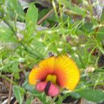 Ann Herring - @ann.herring.50 - Instagram
