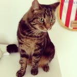 Ann Heslin - @primelocosg - Instagram