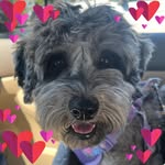 Ann Renfrew Heslin - @heslin.ann - Instagram