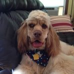 Ann Renfrew Heslin - Facebook