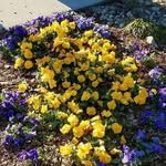 Ann Smorey Hetrick - @smoreyhetrick - Instagram