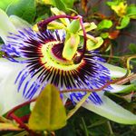 Ann Hewlett - @hewlett_ann - Instagram