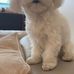 Anne Heyer - Facebook