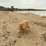 Ann Hinds - @ann.hinds - Instagram