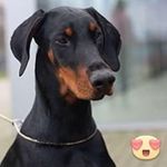 Ann-Katrin Hinz - @annkatrinhinz - Instagram