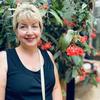 annhitchinshoffer - @annhitchinshoffer - TikTok