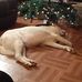 Ann Hodges - Facebook