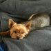 Ann Hodgins - Facebook
