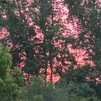 Ann Hoopaugh - Facebook