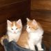Ann Hooper - Facebook