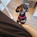 Ann Howard-Spink - @annhowardspink - Instagram
