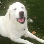 Ann Huffman - @startingfresh1502 - Instagram