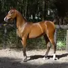 Mary Ann Huffman905 - @maryannhuffman905 - TikTok