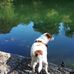 Ann Humphrey - Facebook