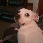 Ann Hunter - @annhunter3726 - Instagram