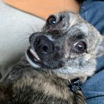 Ann Hutton - @ann.hutton.7792 - Instagram