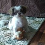 Lou Ann Hysell - Facebook