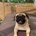 Anne Horncastle - Facebook