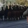 annemarieimhoff - @annemarieimhoff - TikTok
