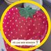 Ann-inger Henden - Facebook