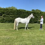 Ann Irving - Facebook