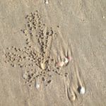 Ann Irving - @irving_ann - Instagram